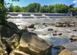 anderbirsbeimuenchenstein